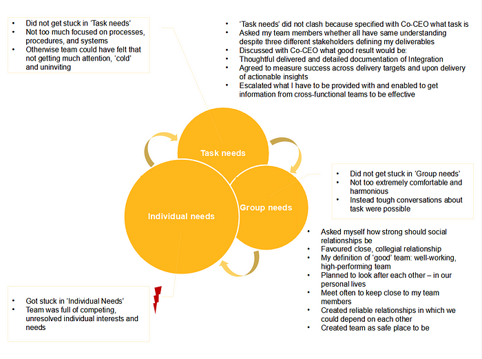victoria-riess-executive-task-group-individual-needs-model